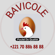 BÂvicole